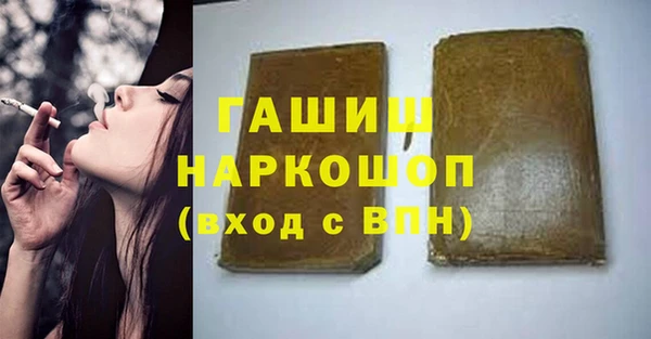 индика Алзамай