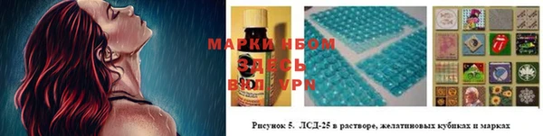 индика Алзамай