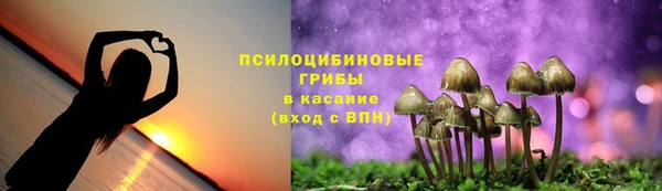 мяу мяу мука Алексин