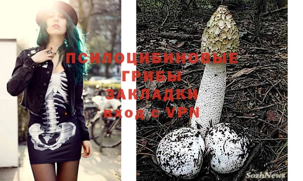 не бодяженный Абинск