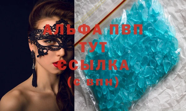 индика Алзамай